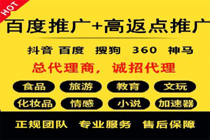 SEM代运营公司案例分析报告